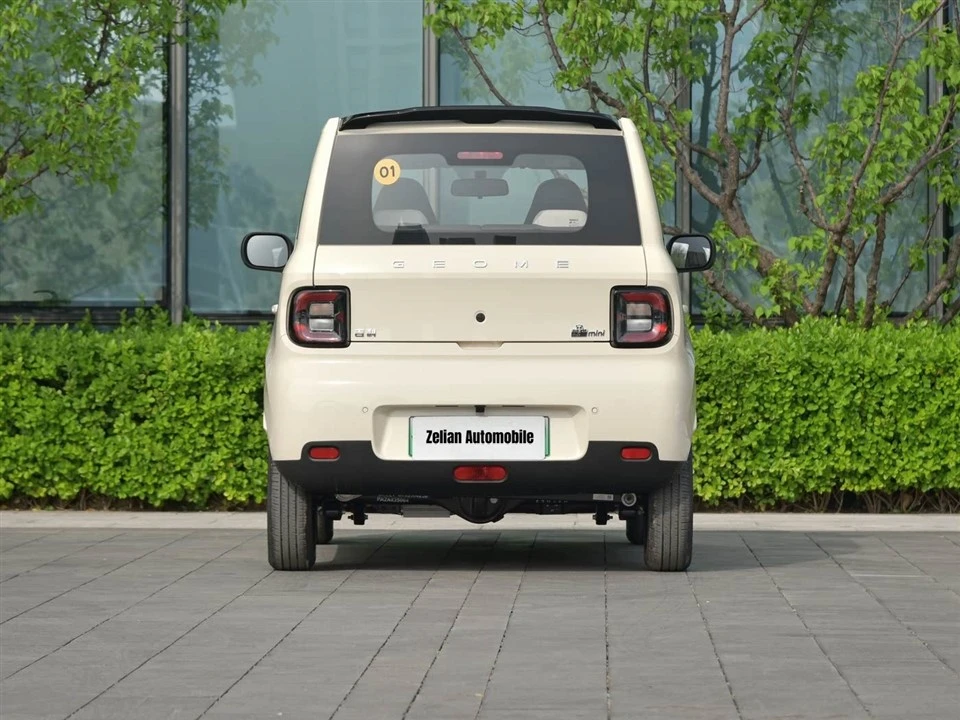 Panda 2025 Panda Mini 210km Yuanqi Bear factory