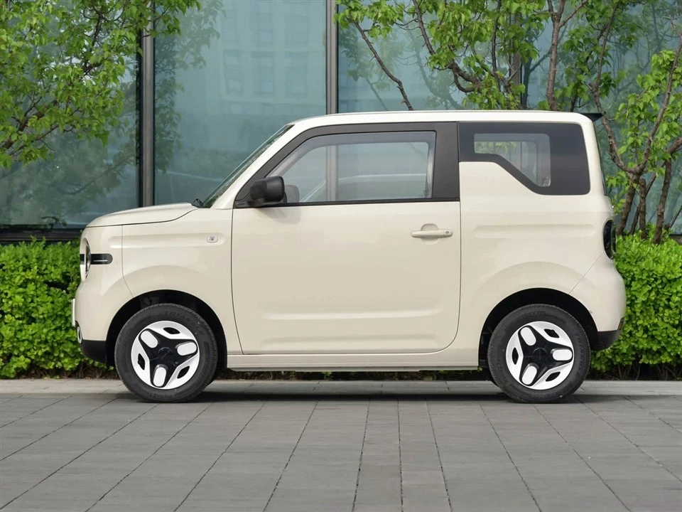 Panda 2025 Panda Mini 210km Yuanqi Bear suppliers